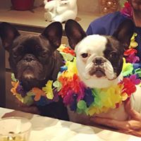 Illustration Ihres Profils