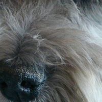 Minh họa hồ sơ của bạn