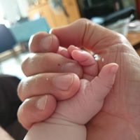 Illustration du profil