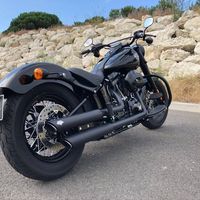 Illustration du profil