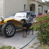 Illustration du profil